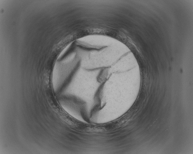 X0000081430545200702092202