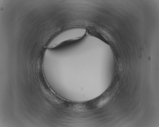 X0000081430546200702092202