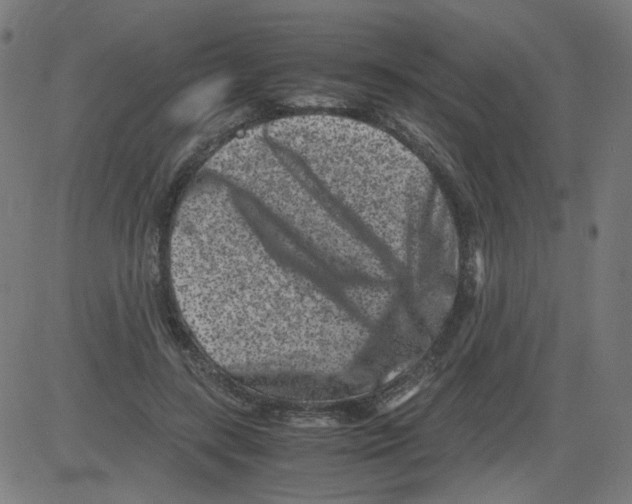 X0000081430547200702092202