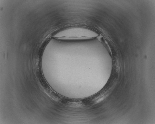 X0000081430548200702092202