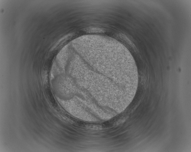 X0000081430549200702092202