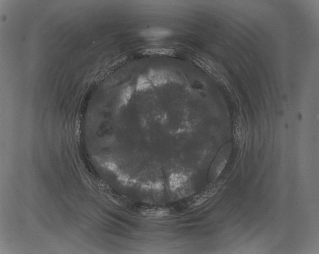 X0000081430551200702092202