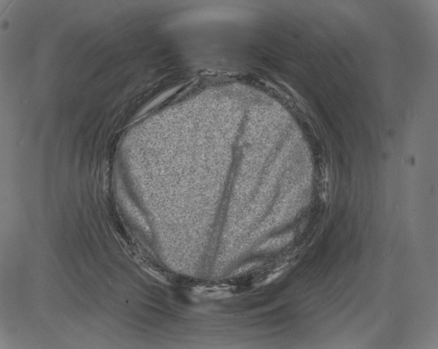 X0000081430553200702092202