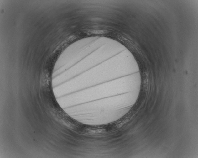 X0000081430555200702092202