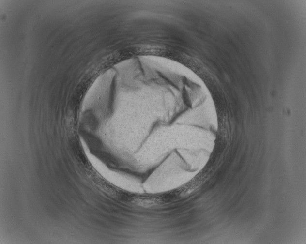 X0000081430557200702092202