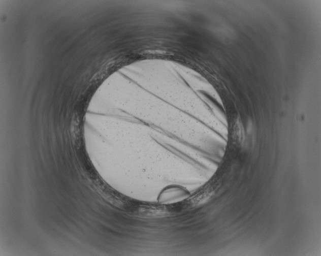 X0000081430559200702092202