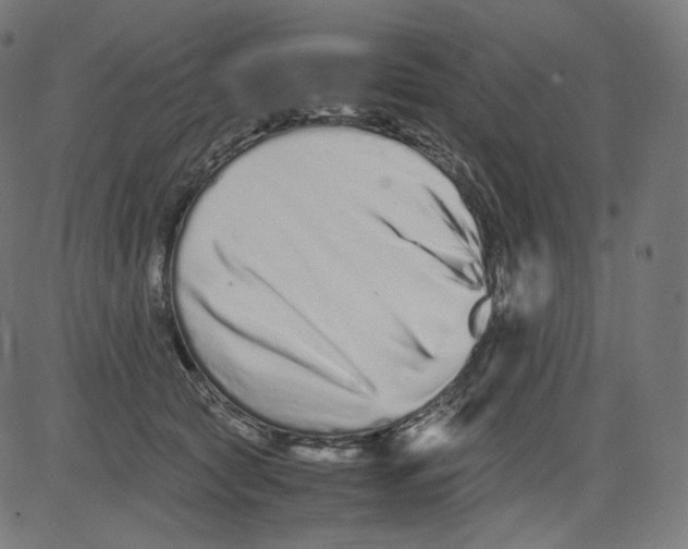 X0000081430561200702092202