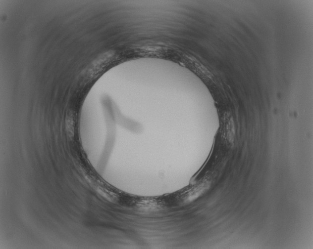 X0000081430562200702092202