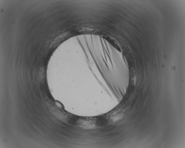 X0000081430563200702092202