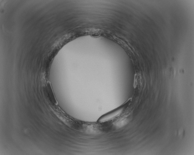 X0000081430564200702092202