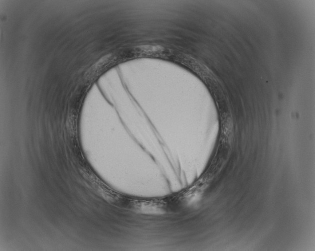 X0000081430565200702092202