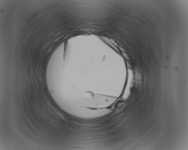 X0000081430566200702092202