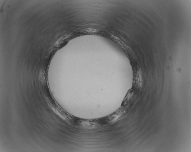 X0000081430568200702092202