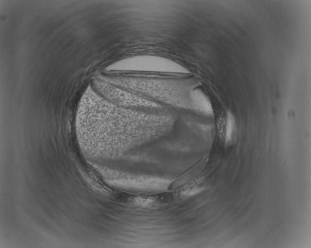 X0000081430570200702092202