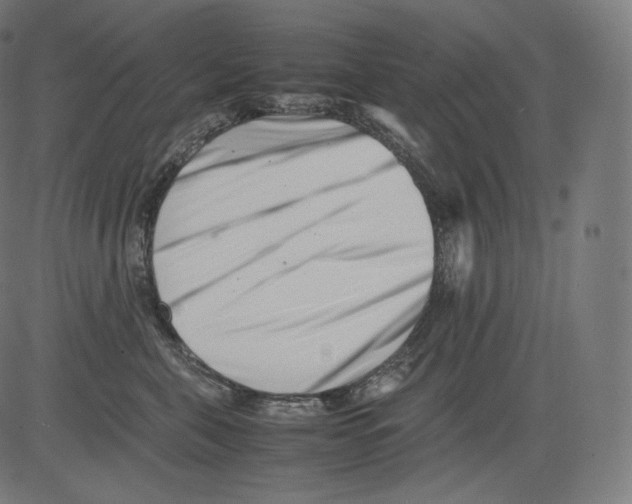 X0000081430571200702092202