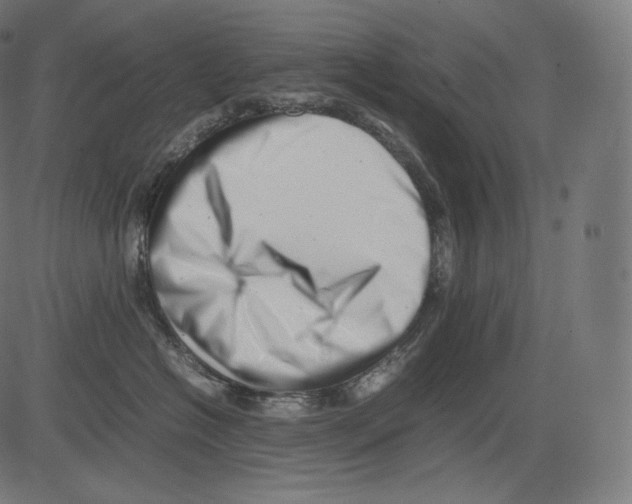 X0000081430574200702092203