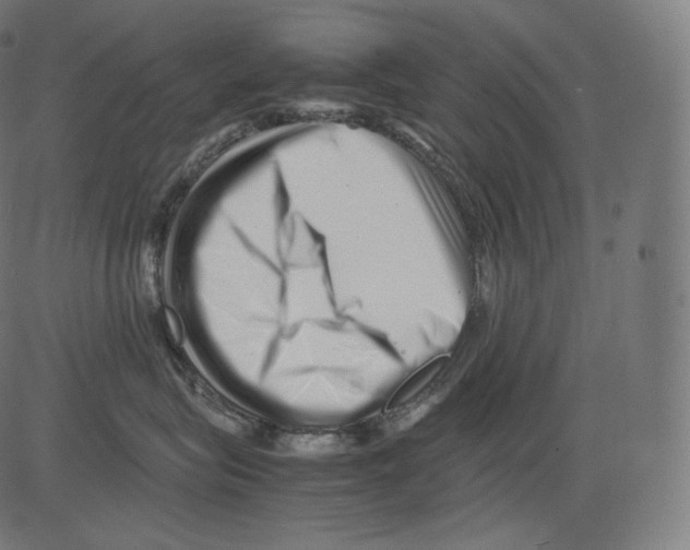 X0000081430575200702092203