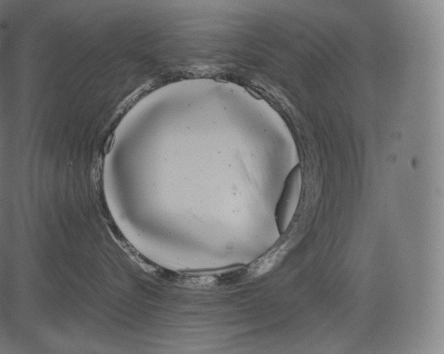 X0000081430576200702092203