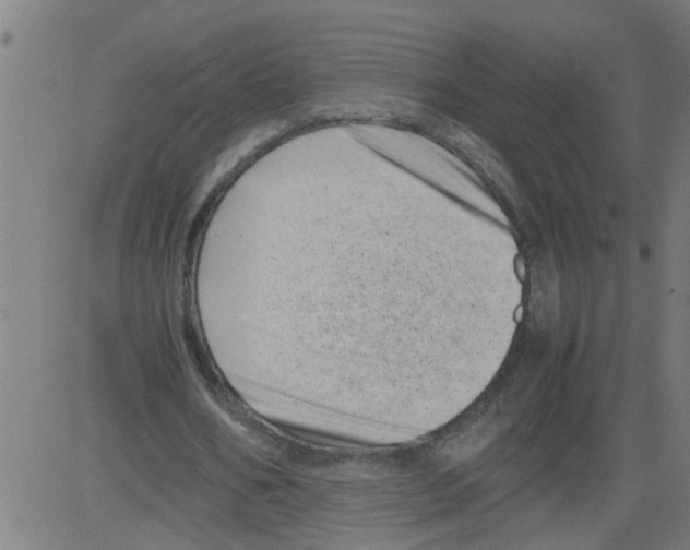 X0000081430578200702092202