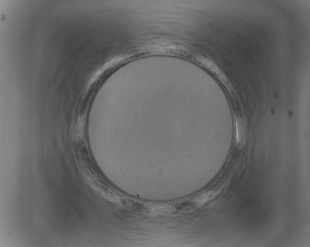 X0000081430579200702092202