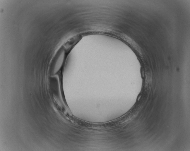 X0000081430580200702092202