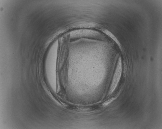 X0000081430581200702092202