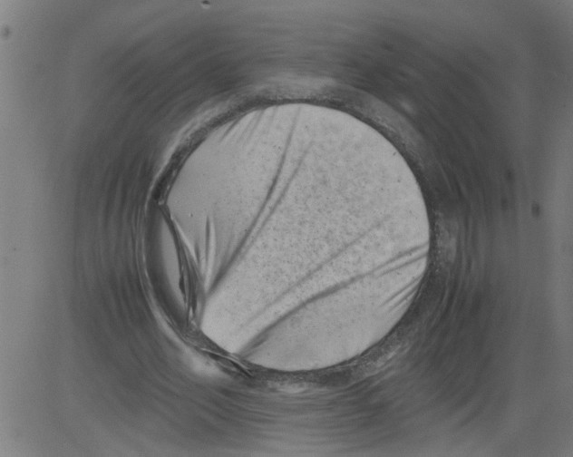 X0000081430582200702092202