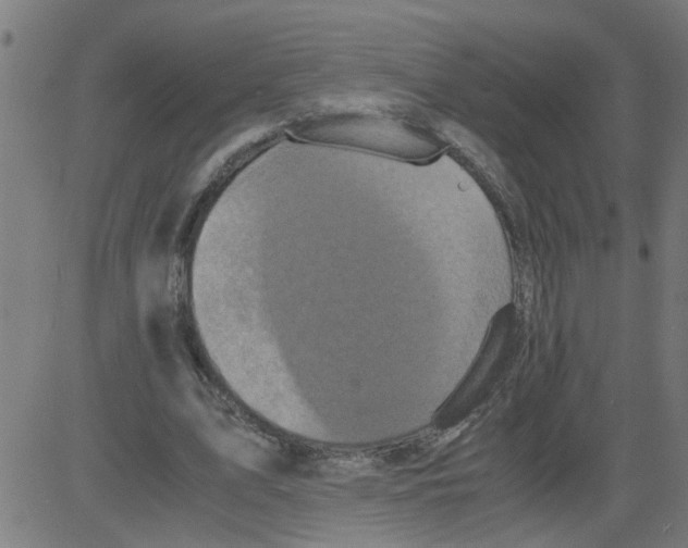 X0000081430583200702092202