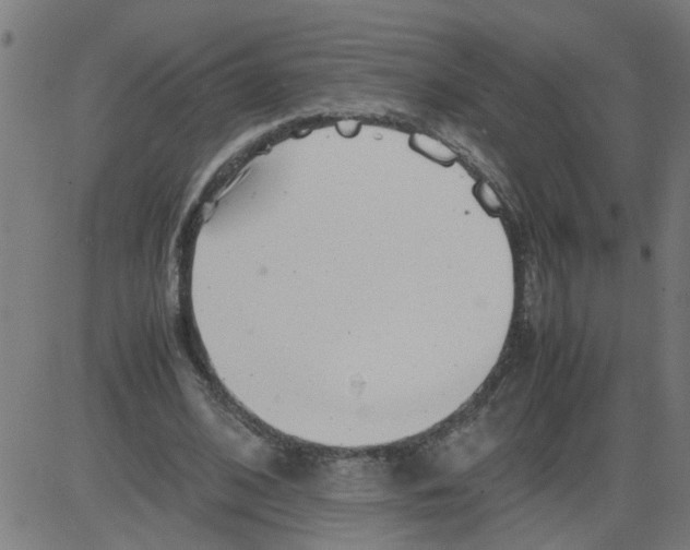 X0000081430584200702092202