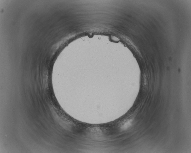 X0000081430588200702092201