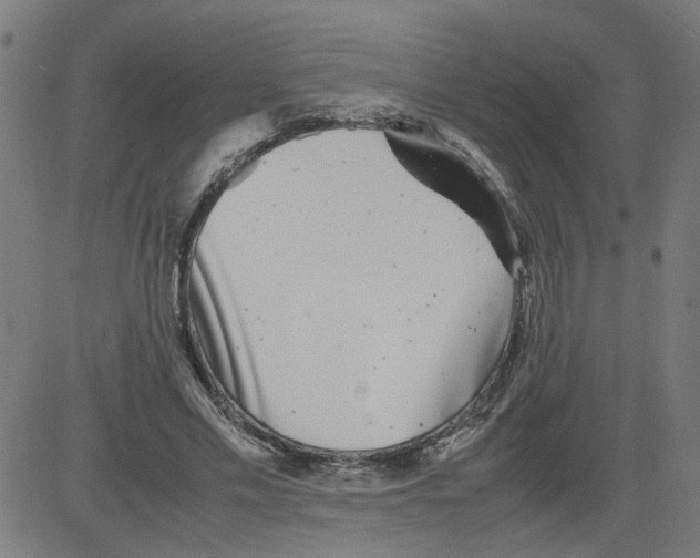 X0000081430589200702092201