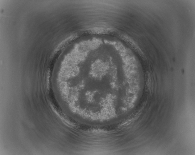 X0000081430590200702092201