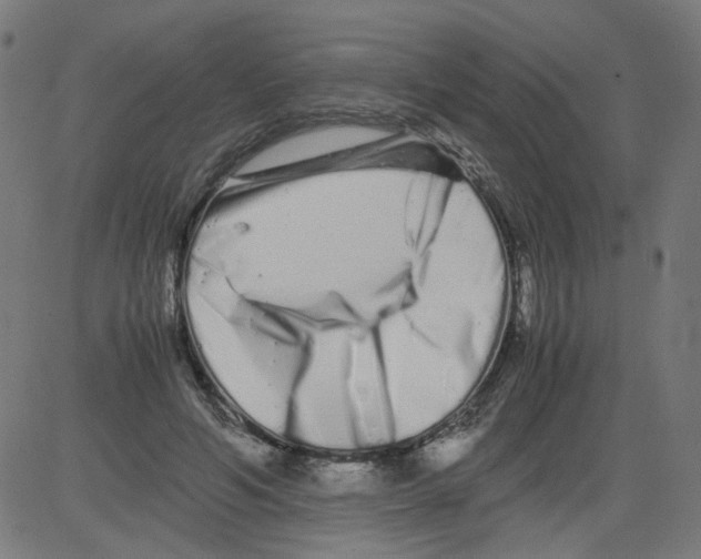 X0000081430594200702092201