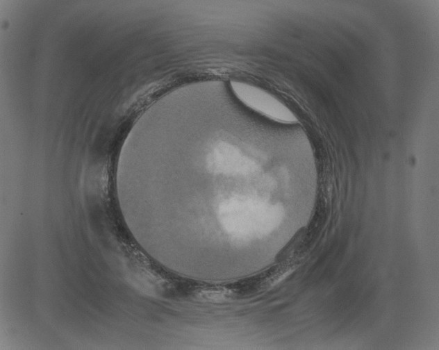 X0000081430595200702092201