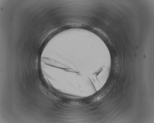 X0000081430596200702092201