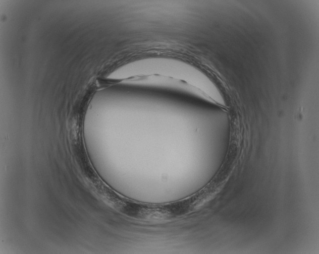 X0000081430597200702092201