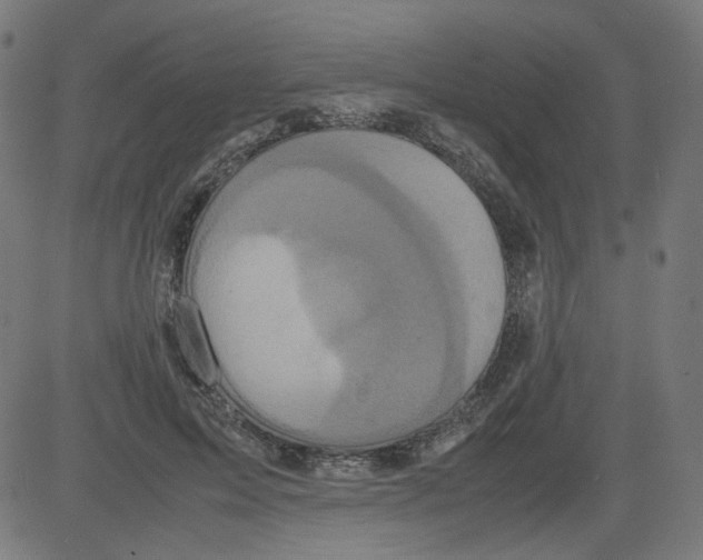 X0000081430599200702092201