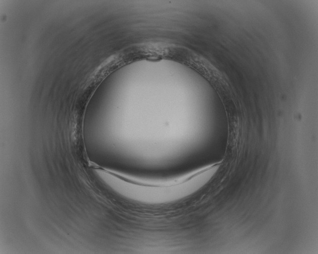 X0000081430600200702092201