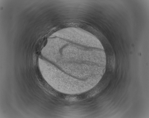 X0000081430602200702092201