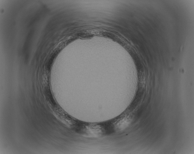 X0000081430603200702092201