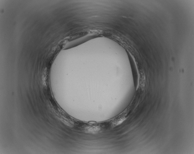 X0000081430604200702092201