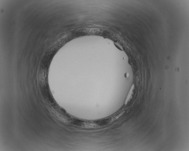 X0000081430605200702092201