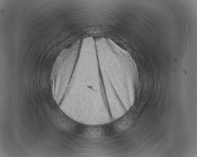 X0000081430606200702092201