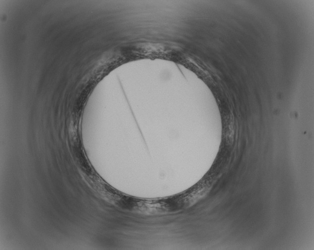 X0000081430607200702092201