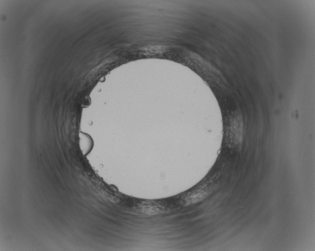 X0000081430608200702092201