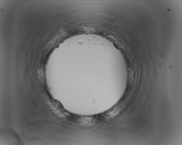 X0000081430609200702092201