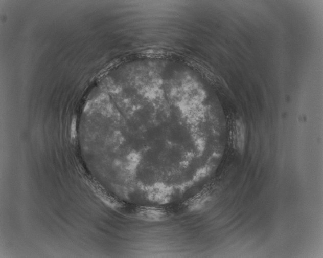 X0000081430610200702092201