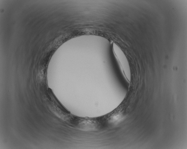 X0000081430611200702092201