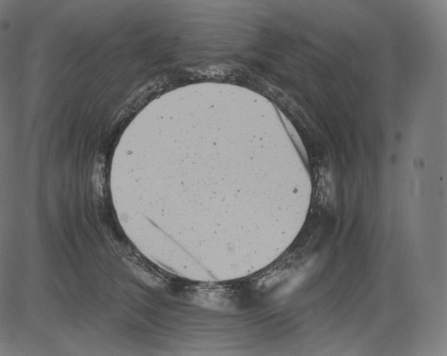 X0000081430612200702092201