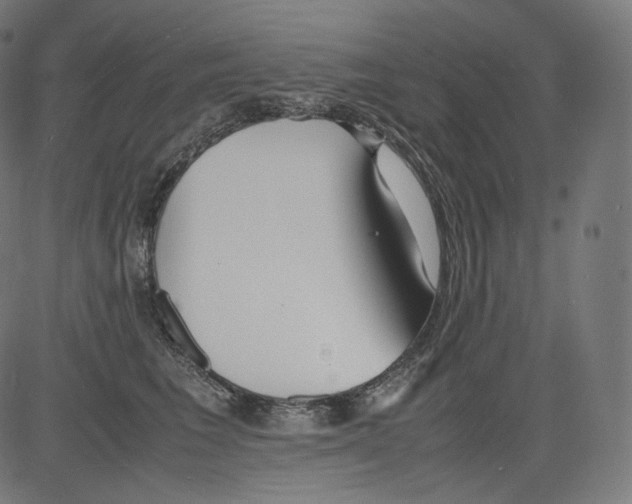 X0000081430613200702092201